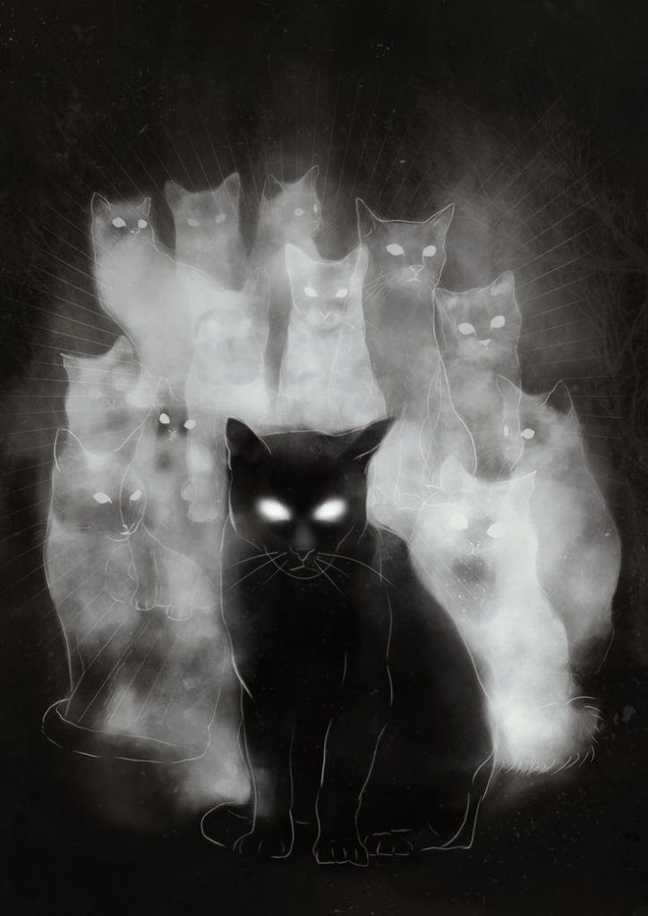 Aquí hay gato encerrado